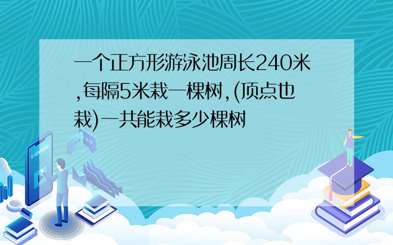 一个正方形游泳池周长240米,每隔5米栽一棵树,(顶点也栽)一共能栽多少棵树