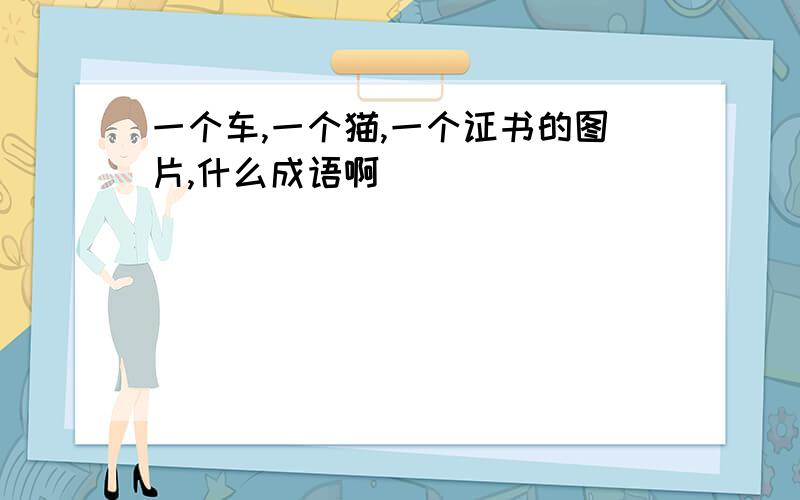 一个车,一个猫,一个证书的图片,什么成语啊