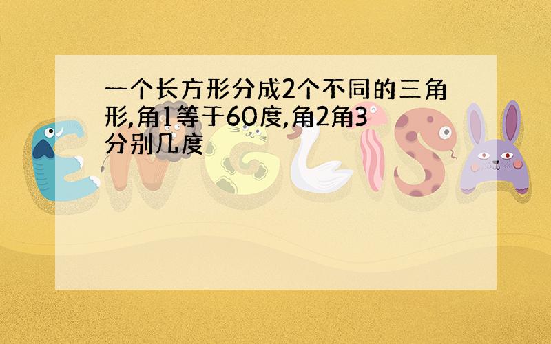 一个长方形分成2个不同的三角形,角1等于60度,角2角3分别几度