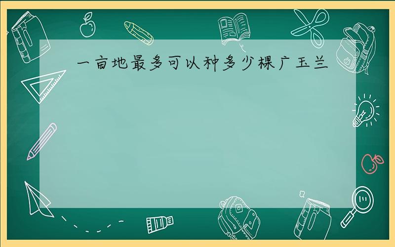 一亩地最多可以种多少棵广玉兰