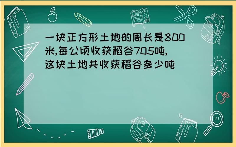 一块正方形土地的周长是800米,每公顷收获稻谷705吨,这块土地共收获稻谷多少吨