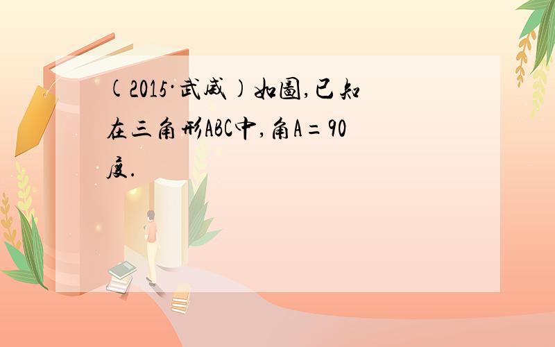 (2015·武威)如图,已知在三角形ABC中,角A=90度.