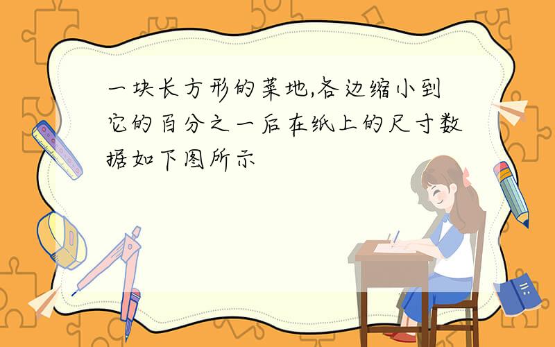 一块长方形的菜地,各边缩小到它的百分之一后在纸上的尺寸数据如下图所示