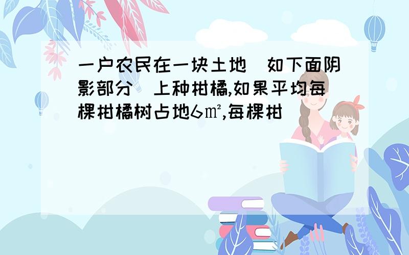 一户农民在一块土地(如下面阴影部分)上种柑橘,如果平均每棵柑橘树占地6㎡,每棵柑