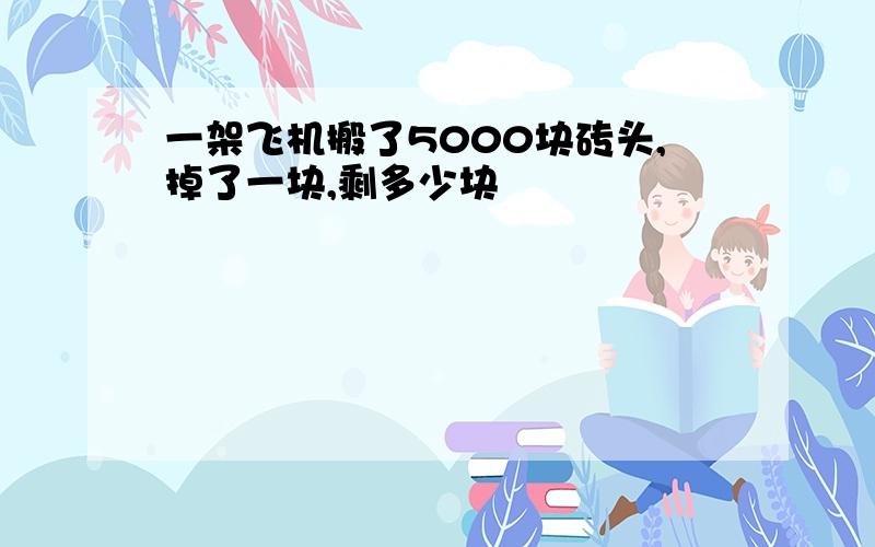 一架飞机搬了5000块砖头,掉了一块,剩多少块