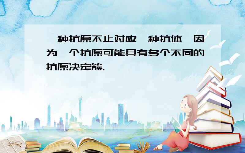 一种抗原不止对应一种抗体,因为一个抗原可能具有多个不同的抗原决定簇.