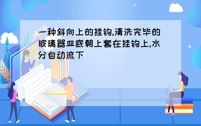 一种斜向上的挂钩,清洗完毕的玻璃器皿底朝上套在挂钩上,水分自动流下