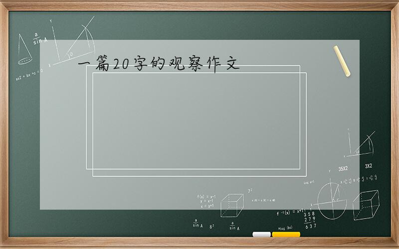 一篇20字的观察作文