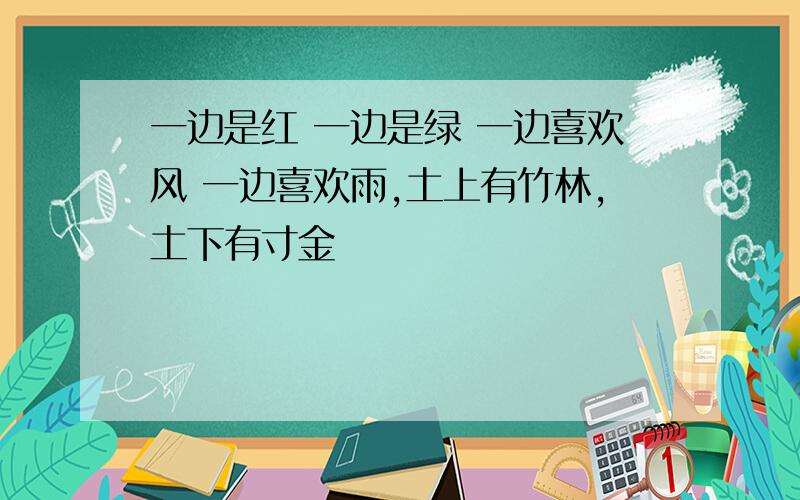 一边是红 一边是绿 一边喜欢风 一边喜欢雨,土上有竹林,土下有寸金