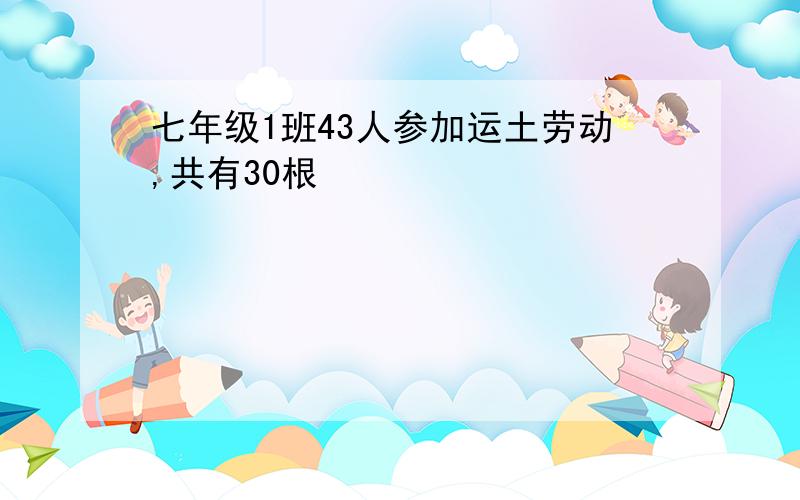 七年级1班43人参加运土劳动,共有30根