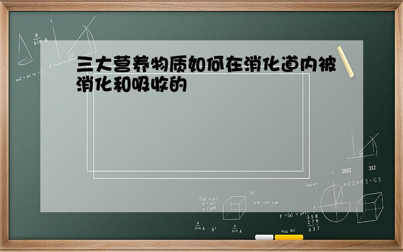 三大营养物质如何在消化道内被消化和吸收的