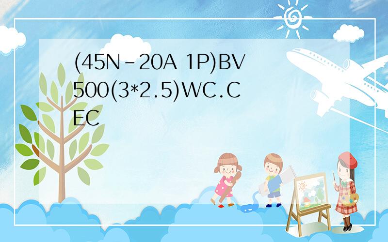 (45N-20A 1P)BV500(3*2.5)WC.CEC