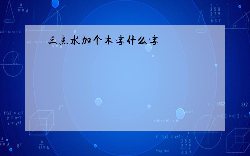 三点水加个木字什么字