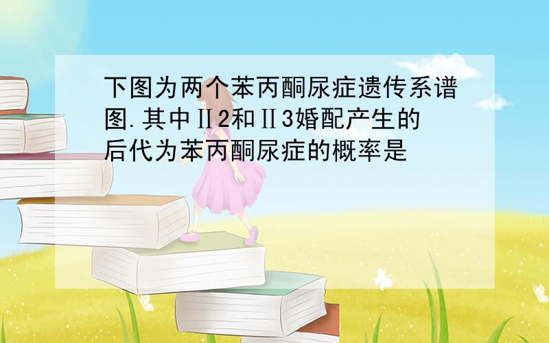 下图为两个苯丙酮尿症遗传系谱图.其中Ⅱ2和Ⅱ3婚配产生的后代为苯丙酮尿症的概率是