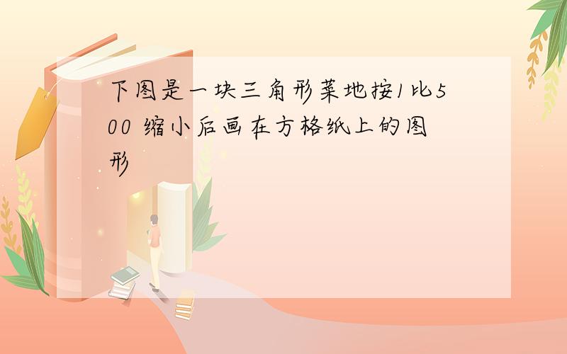 下图是一块三角形菜地按1比500 缩小后画在方格纸上的图形