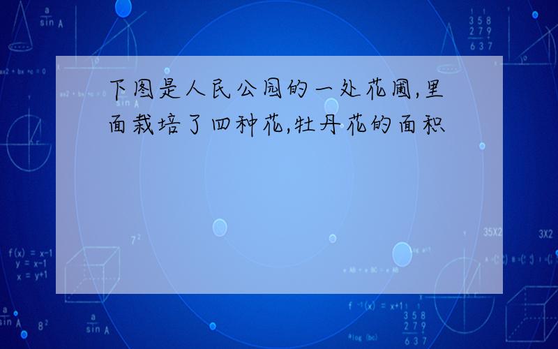 下图是人民公园的一处花圃,里面栽培了四种花,牡丹花的面积