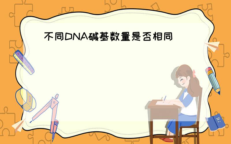 不同DNA碱基数量是否相同