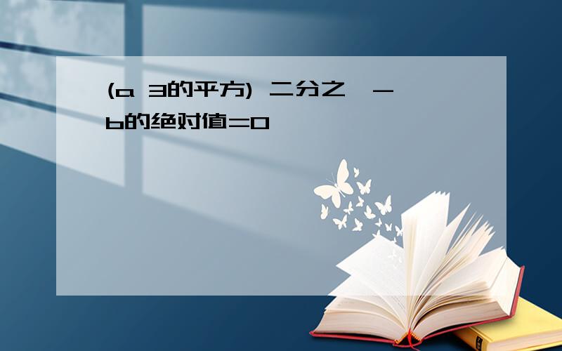 (a 3的平方) 二分之一-b的绝对值=0