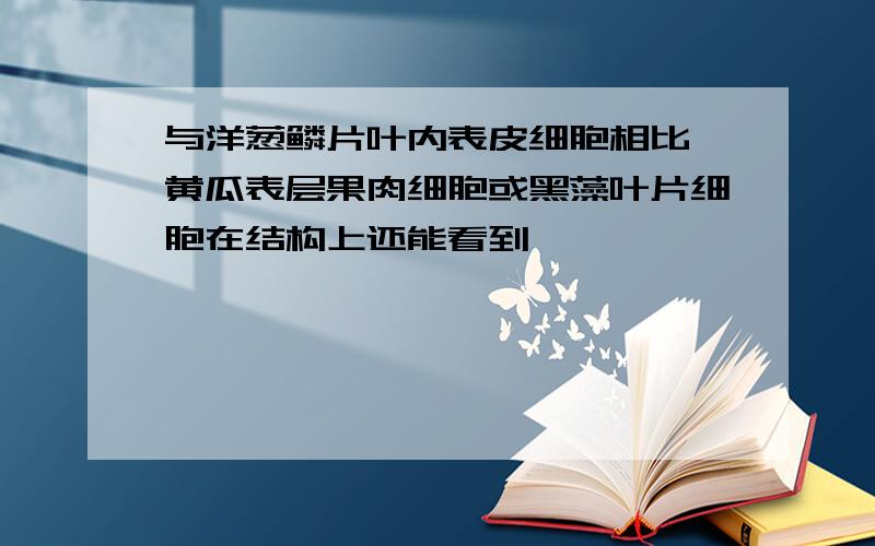 与洋葱鳞片叶内表皮细胞相比,黄瓜表层果肉细胞或黑藻叶片细胞在结构上还能看到