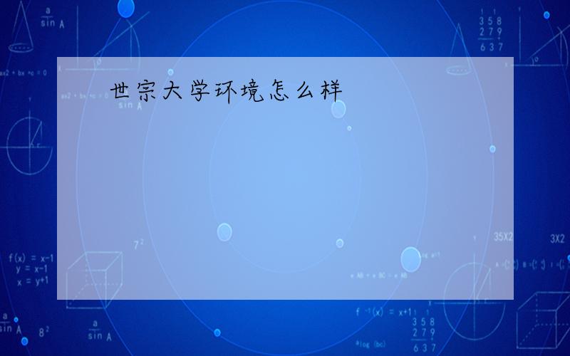 世宗大学环境怎么样