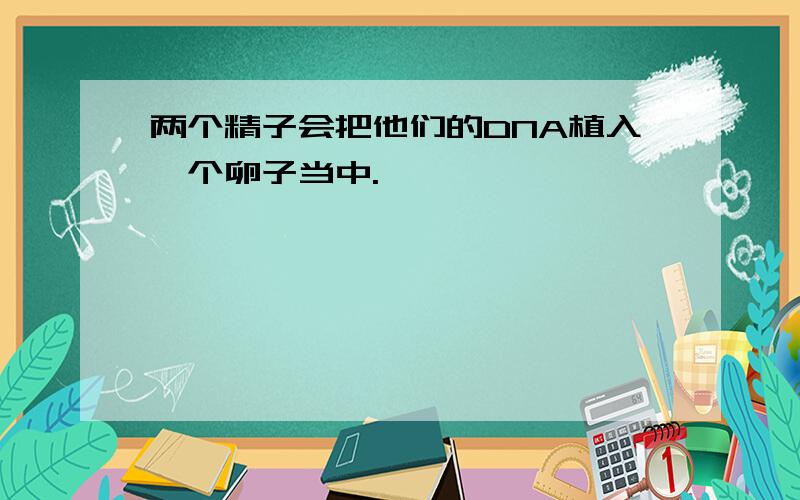 两个精子会把他们的DNA植入一个卵子当中.