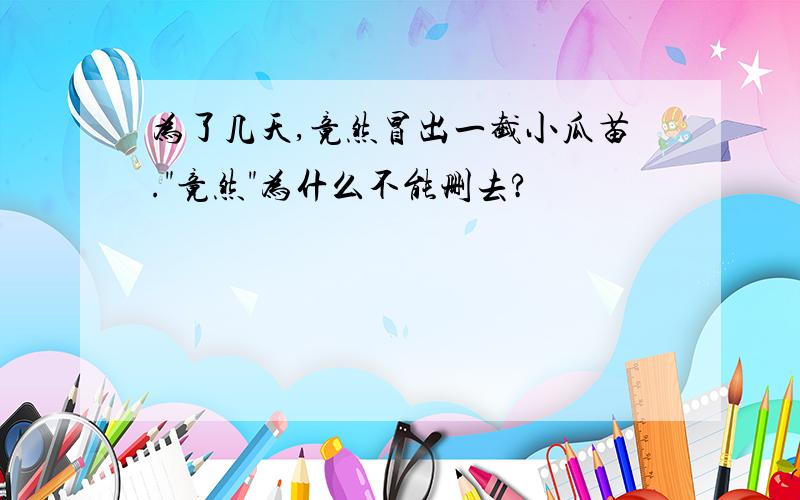 为了几天,竟然冒出一截小瓜苗."竟然"为什么不能删去?