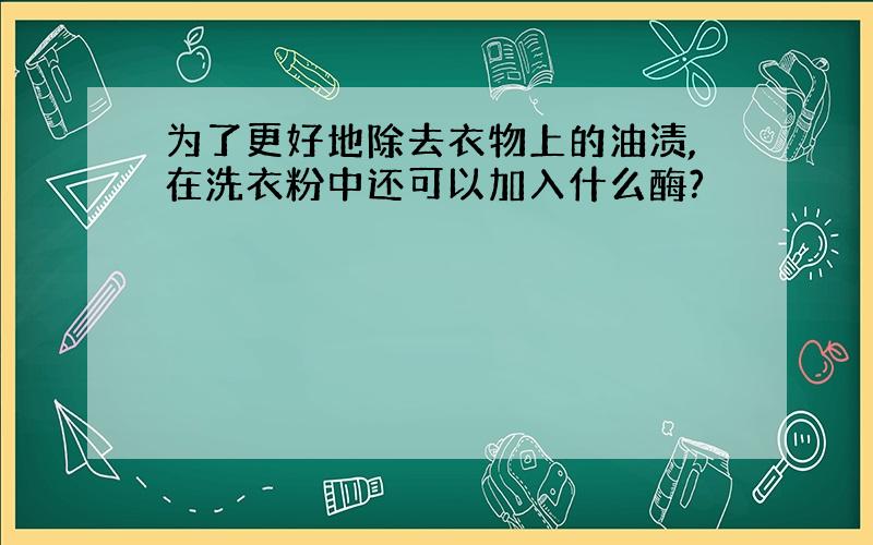 为了更好地除去衣物上的油渍,在洗衣粉中还可以加入什么酶?