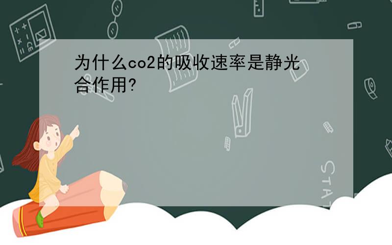 为什么co2的吸收速率是静光合作用?