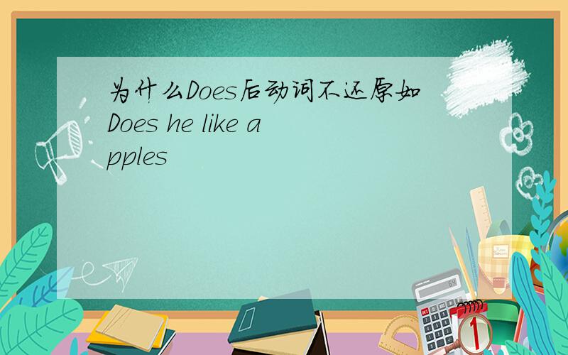 为什么Does后动词不还原如Does he like apples