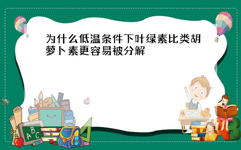 为什么低温条件下叶绿素比类胡萝卜素更容易被分解