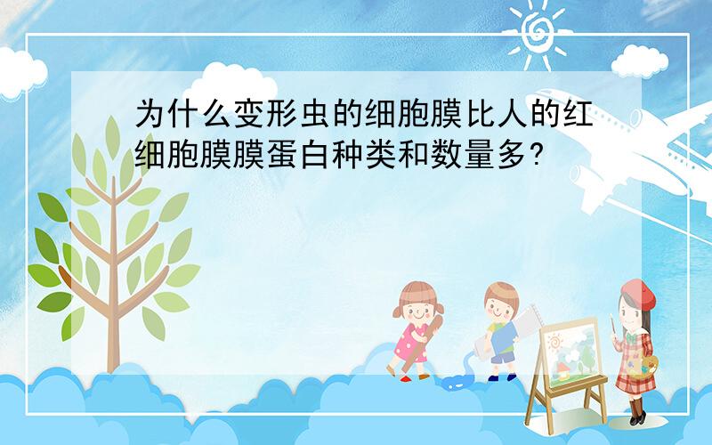 为什么变形虫的细胞膜比人的红细胞膜膜蛋白种类和数量多?