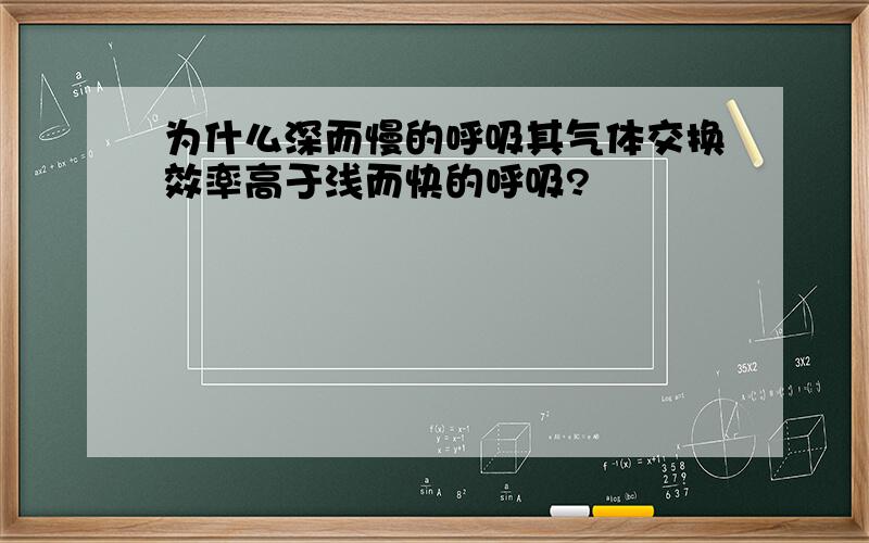 为什么深而慢的呼吸其气体交换效率高于浅而快的呼吸?