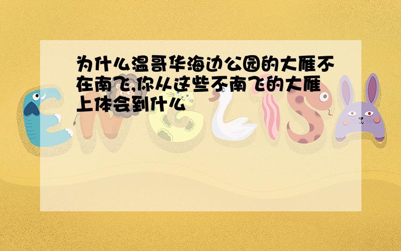 为什么温哥华海边公园的大雁不在南飞,你从这些不南飞的大雁上体会到什么