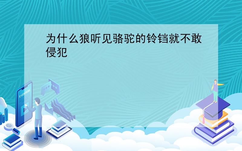 为什么狼听见骆驼的铃铛就不敢侵犯