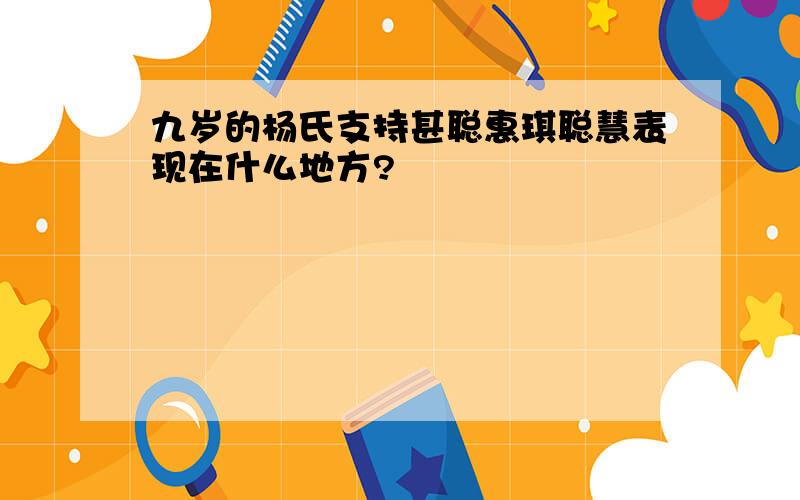 九岁的杨氏支持甚聪惠琪聪慧表现在什么地方?