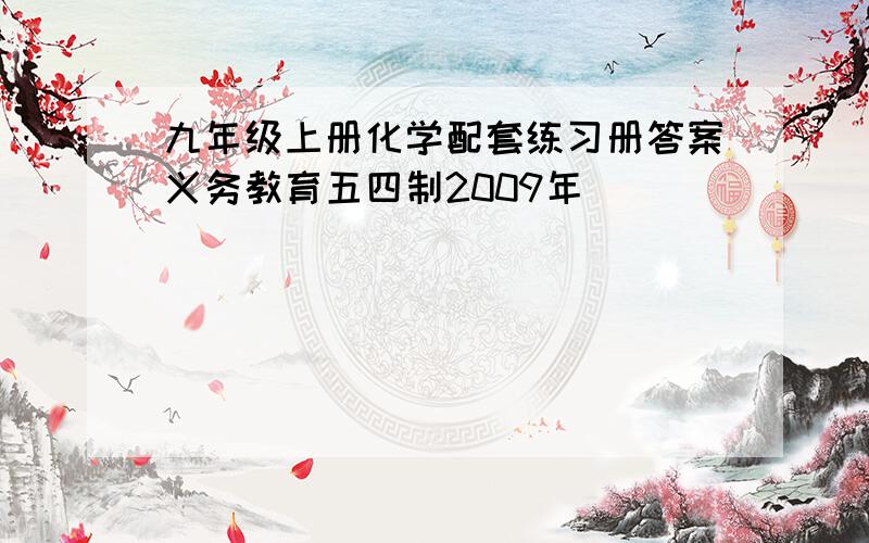 九年级上册化学配套练习册答案义务教育五四制2009年