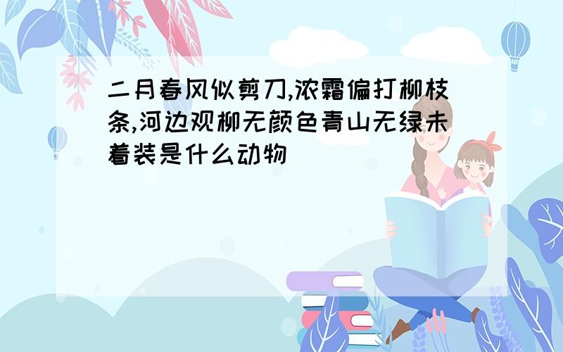 二月春风似剪刀,浓霜偏打柳枝条,河边观柳无颜色青山无绿未着装是什么动物