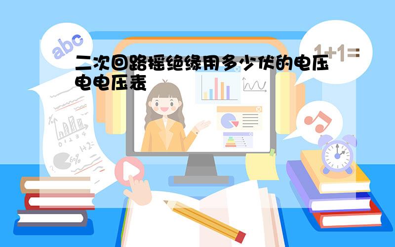 二次回路摇绝缘用多少伏的电压电电压表