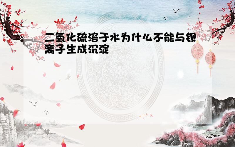 二氧化硫溶于水为什么不能与钡离子生成沉淀