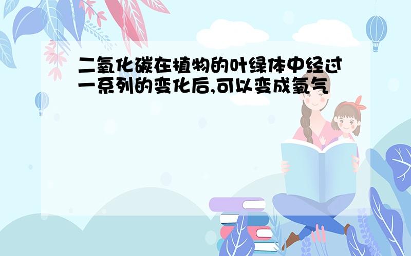 二氧化碳在植物的叶绿体中经过一系列的变化后,可以变成氧气