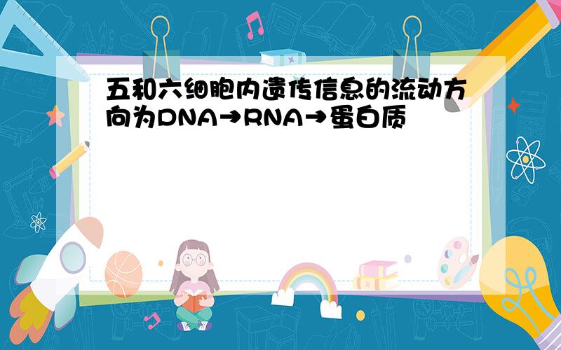 五和六细胞内遗传信息的流动方向为DNA→RNA→蛋白质