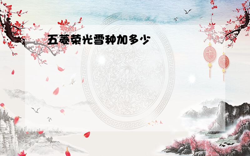 五菱荣光雪种加多少