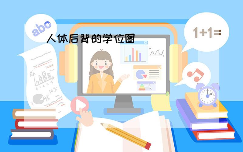 人体后背的学位图