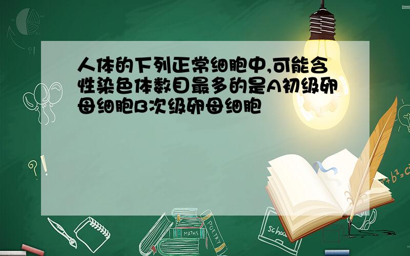 人体的下列正常细胞中,可能含性染色体数目最多的是A初级卵母细胞B次级卵母细胞