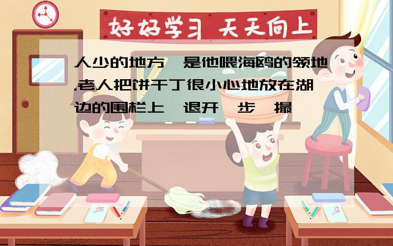 人少的地方,是他喂海鸥的领地.老人把饼干丁很小心地放在湖边的围栏上,退开一步,撮