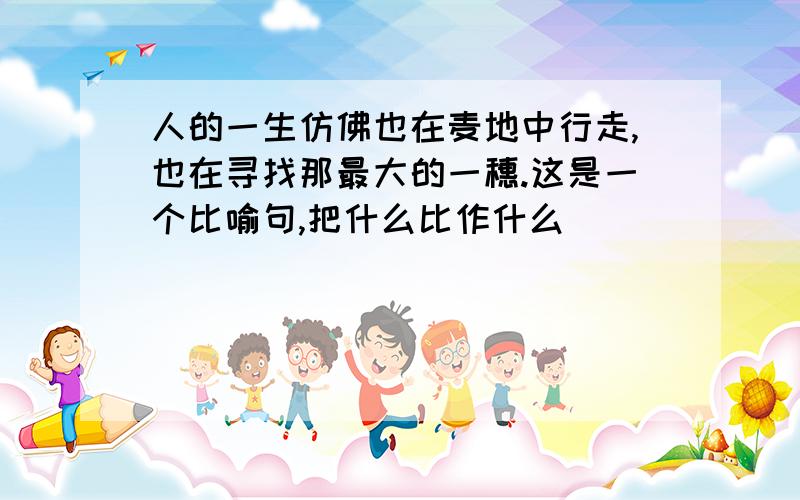 人的一生仿佛也在麦地中行走,也在寻找那最大的一穗.这是一个比喻句,把什么比作什么