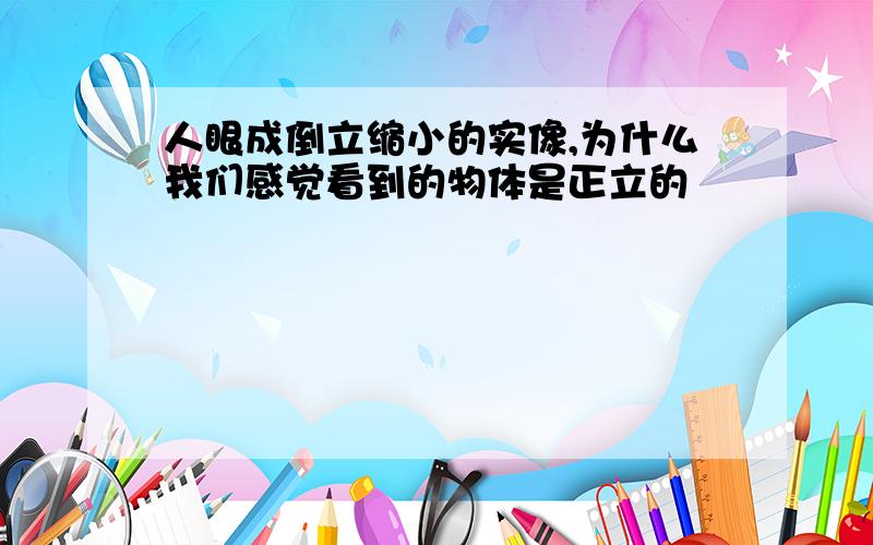 人眼成倒立缩小的实像,为什么我们感觉看到的物体是正立的