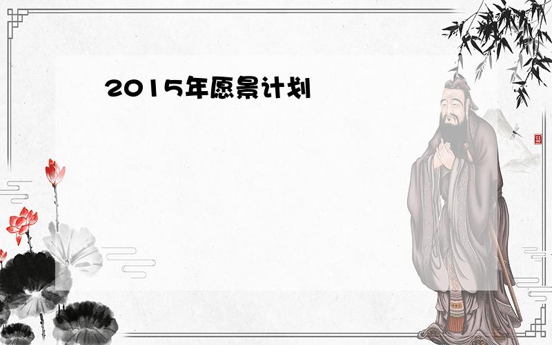 2015年愿景计划