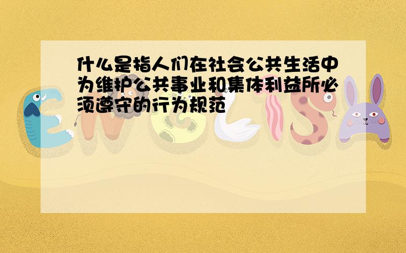 什么是指人们在社会公共生活中为维护公共事业和集体利益所必须遵守的行为规范