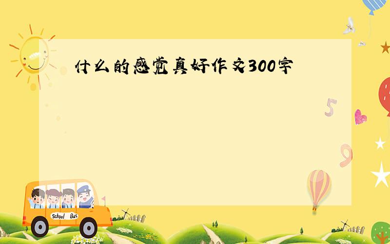 什么的感觉真好作文300字